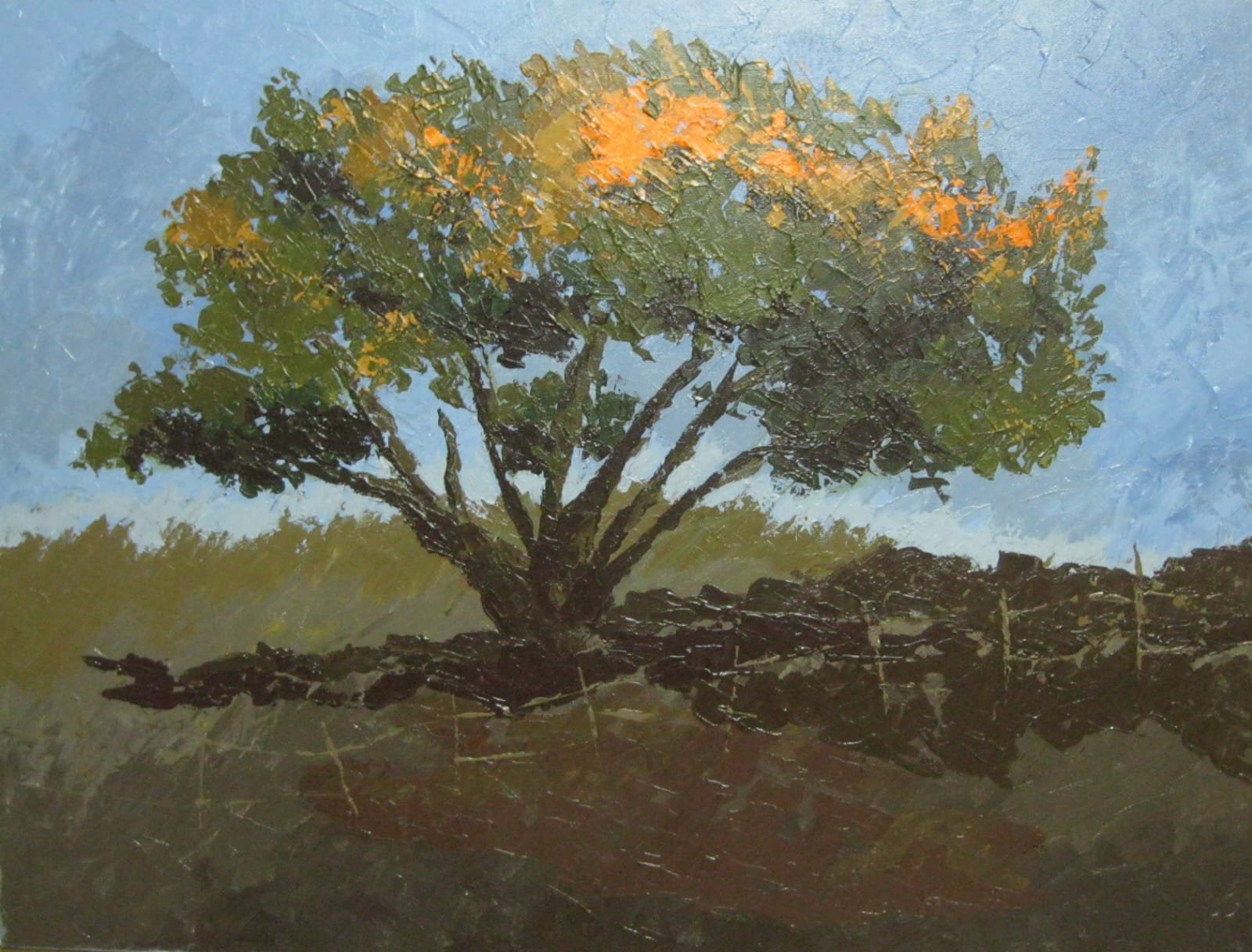 Tree of Life