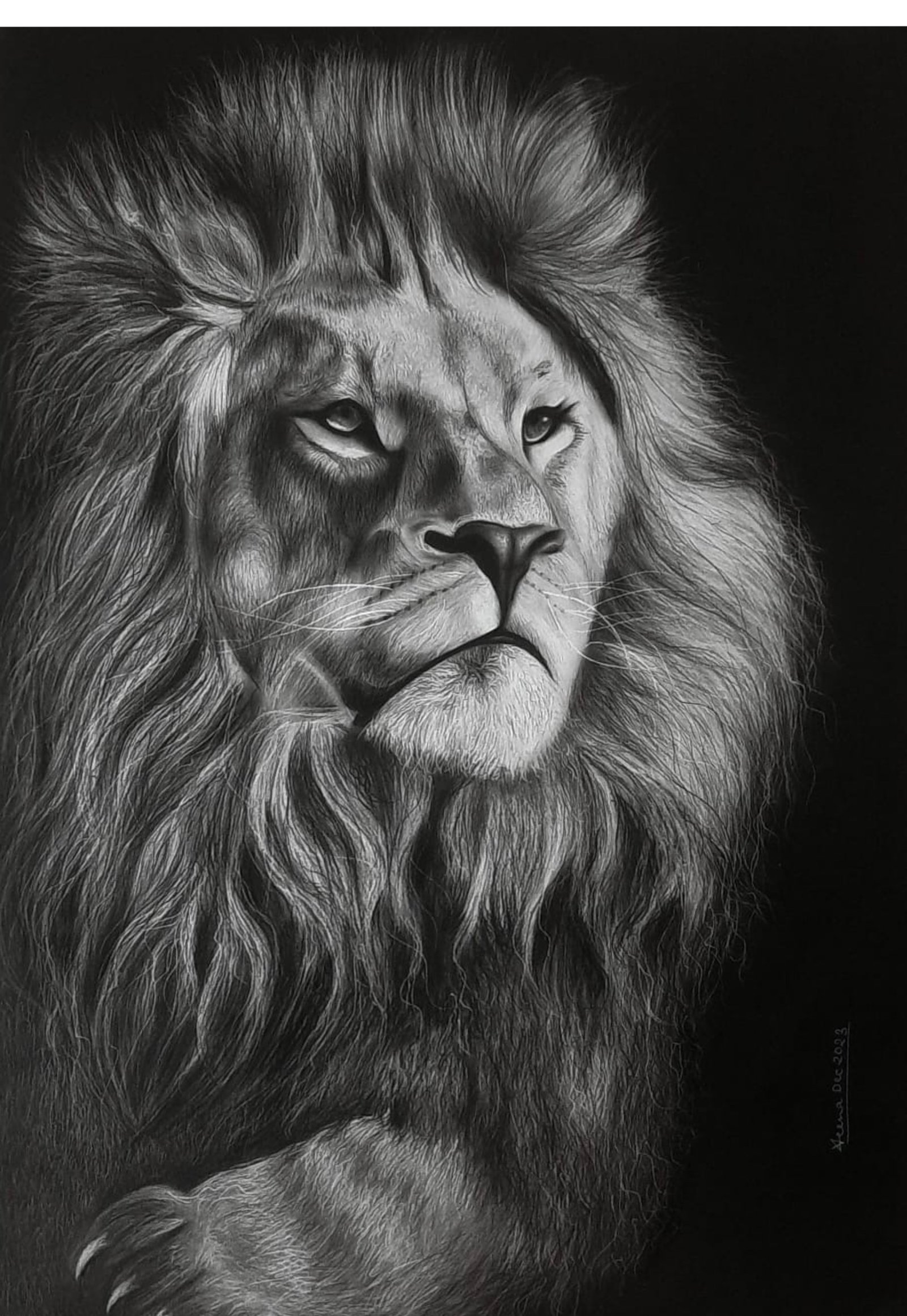 Lion-The King of Savannah