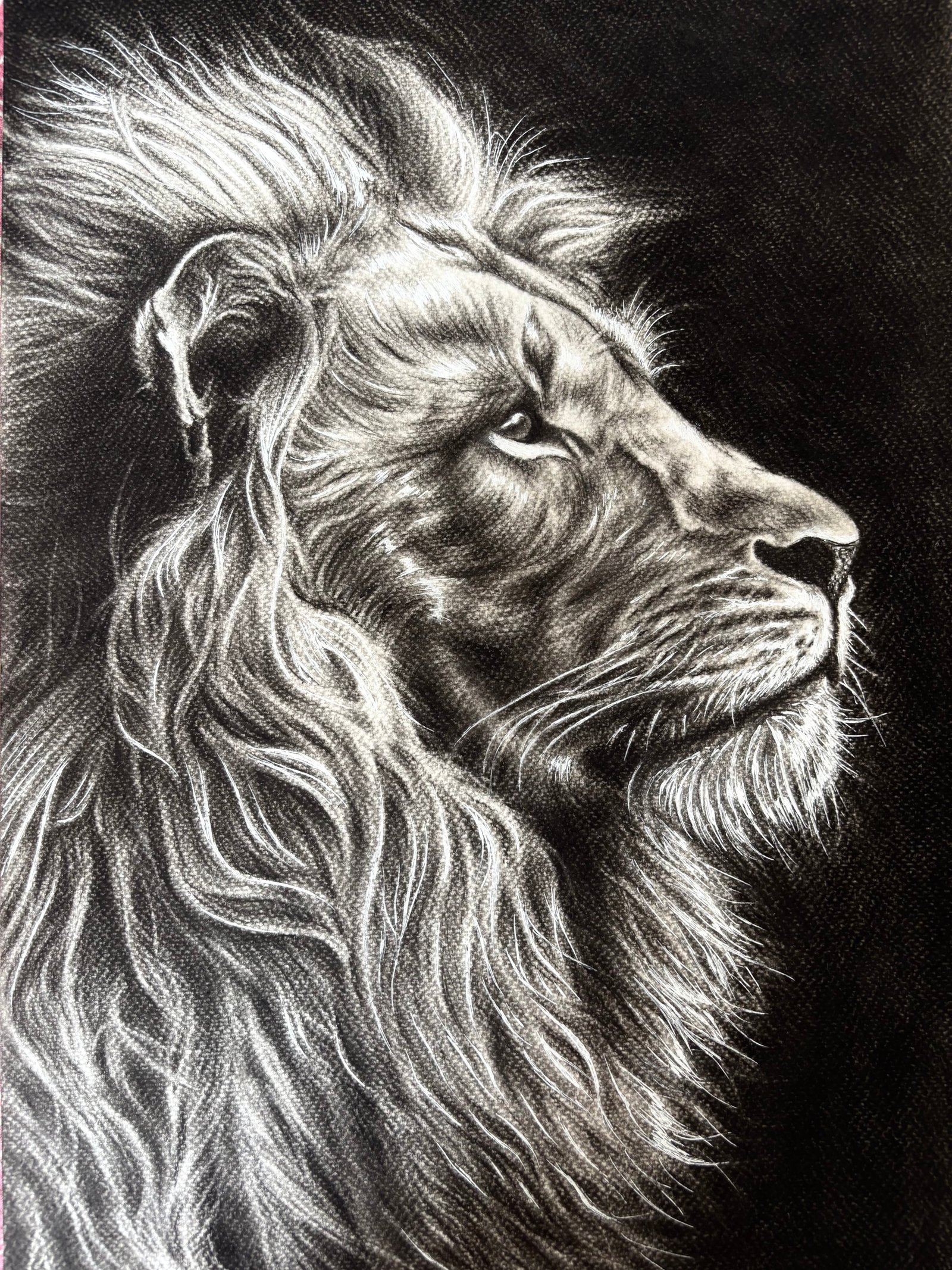 Artwork by Tisha Kubadia